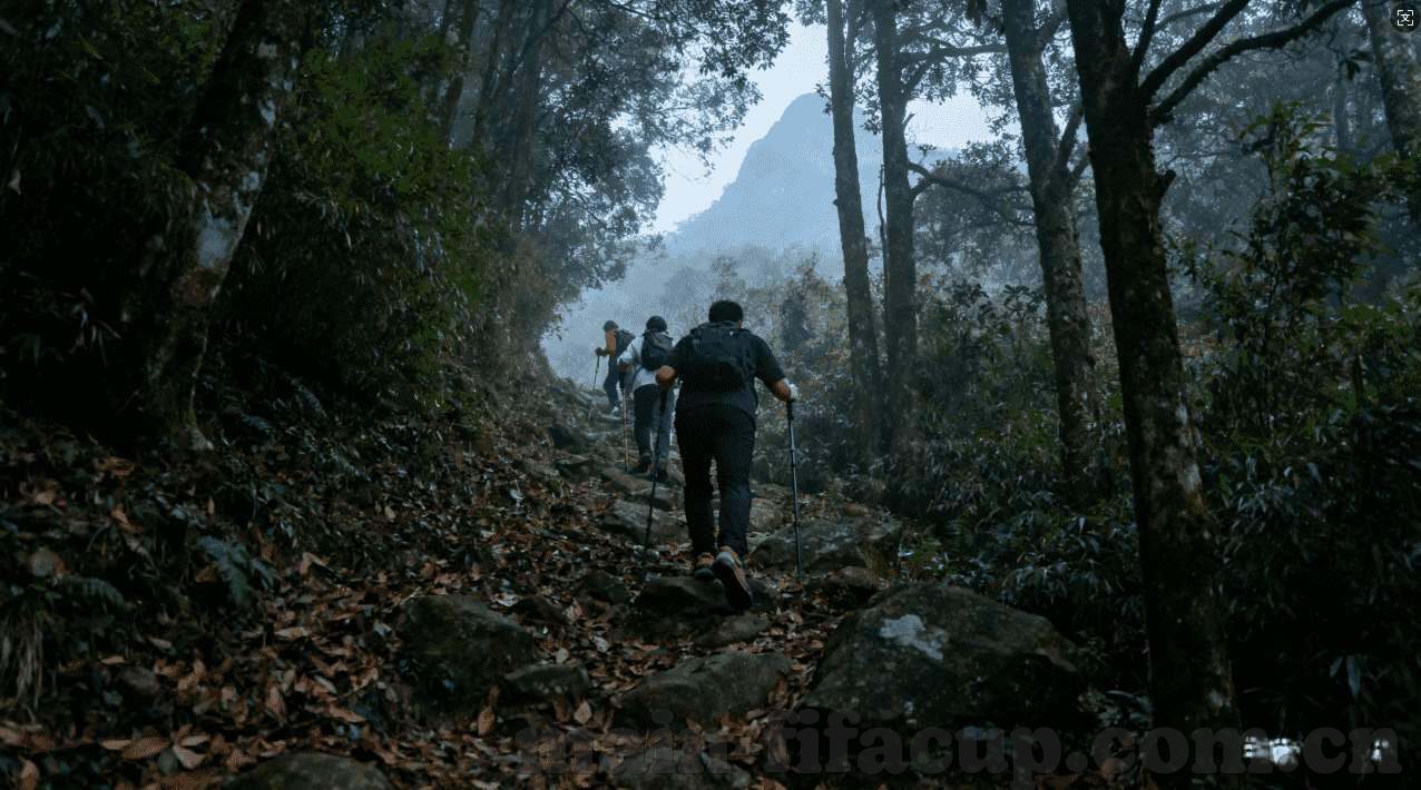 巴西世界杯投注网-巴西世界杯投注网，体育博彩的激情与风险